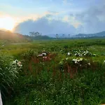 Sunflower Cabin Dieng