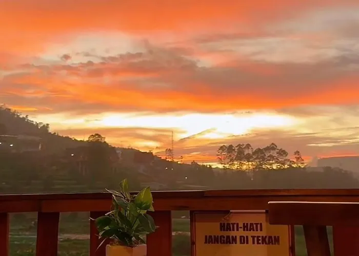 Sunflower Cabin Dieng