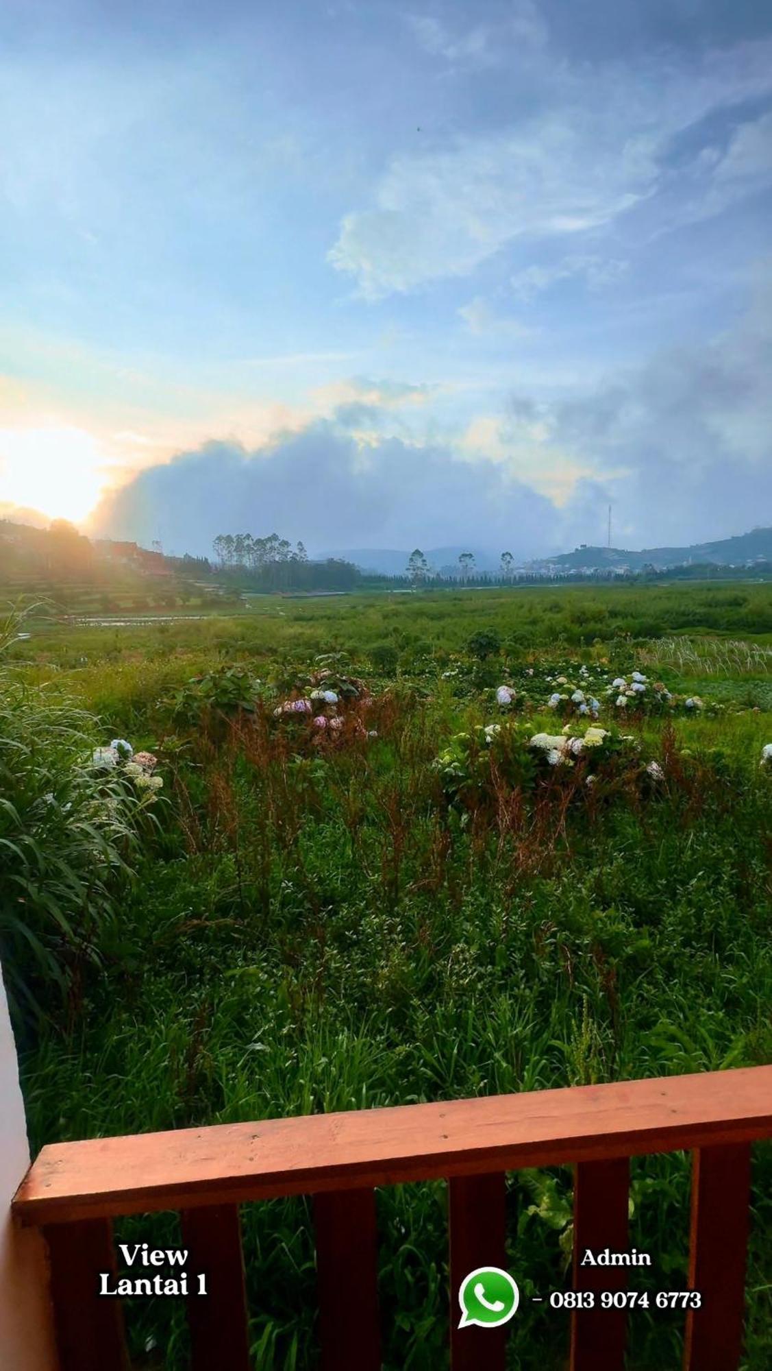Villa Sunflower Dieng *